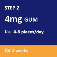 Gum Step 2 – 4Mg 3 Weeks